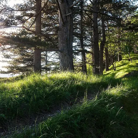 리조트 Trio Lux 4*