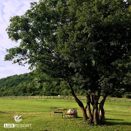 리조트 Trio Lux 포차