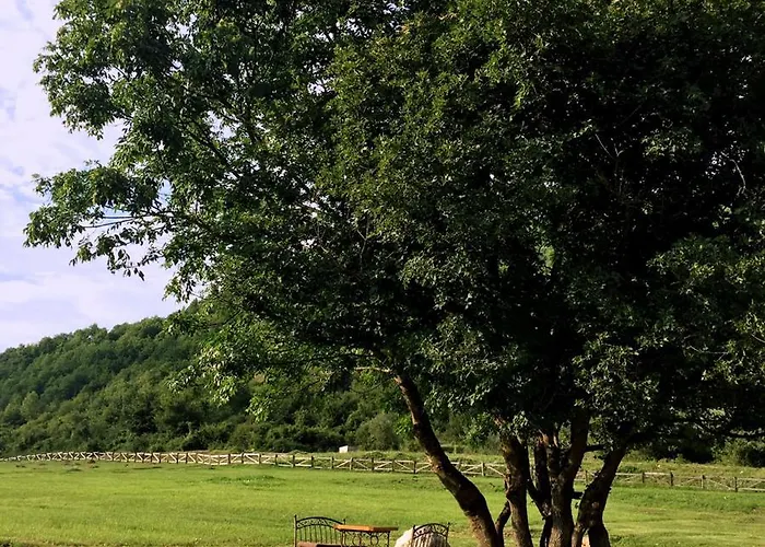 Semesteranläggning (resort) Trio Lux Foca